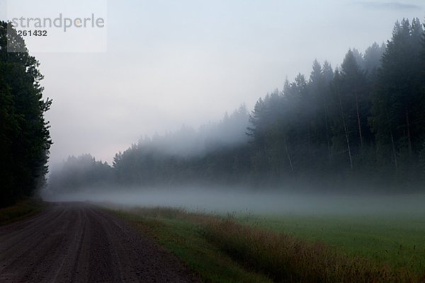 Landschaft  Fernverkehrsstraße  Nebel