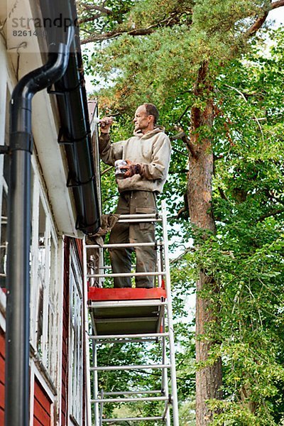 Mann Leiter Leitern Wohnhaus streichen streicht streichend anstreichen anstreichend