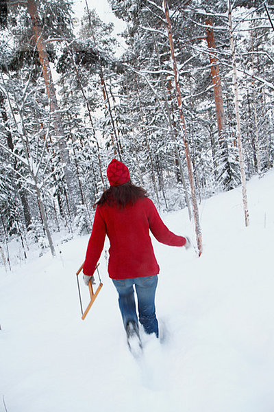 Frau  gehen  Baum  Wald  Weihnachten  Entdeckung