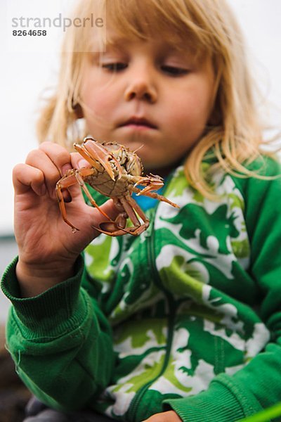 Junge - Person halten Krabbe Krebs Krebse