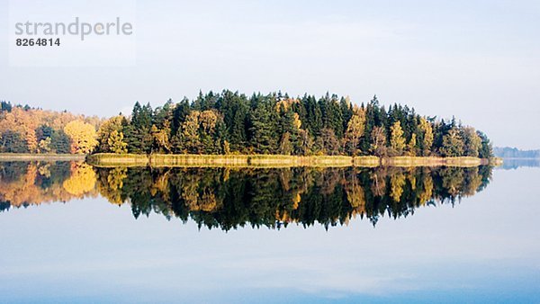 Spiegelung  Wald  See  Herbst
