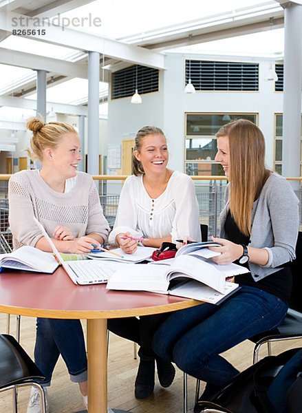 Junge Frauen studying together