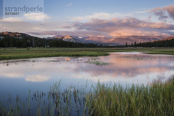 Vereinigte Staaten von Amerika  USA  Sommer  Sonnenuntergang  über  Wiese  Flut  Yosemite Nationalpark  Kalifornien