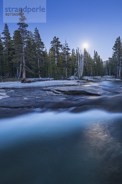 Vereinigte Staaten von Amerika  USA  Nacht  Himmel  über  Fluss  Mond  beleuchtet  Gabel  Yosemite Nationalpark  Kalifornien  voll