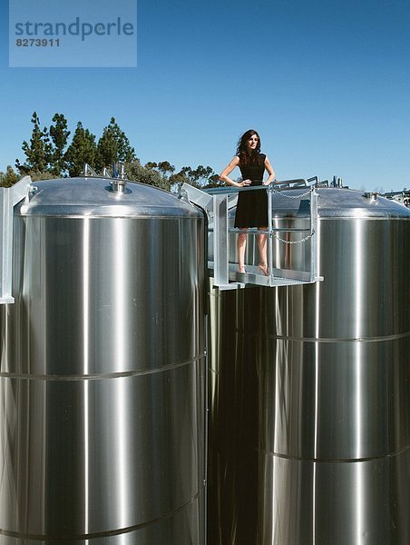 Schönheit  Pflanze  hoch  oben  San Diego  Brauerei