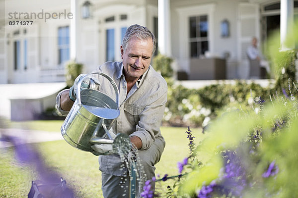 Senior Mann beim Gießen von Pflanzen im Garten