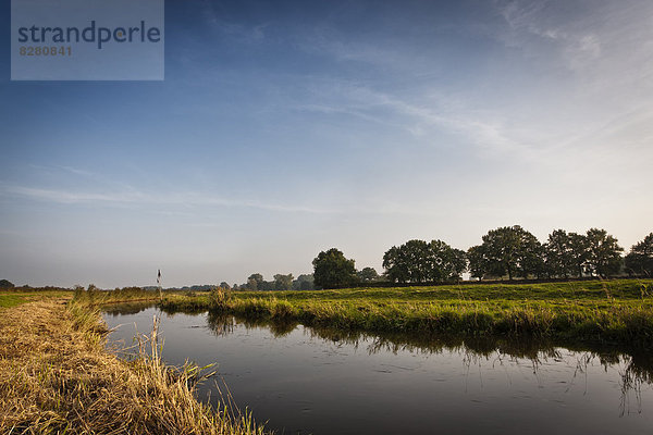 Pinnau bei Appen  Schleswig-Holstein  Deutschland