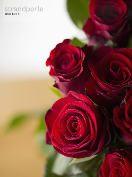 Ein Strauß roter Rosen  hohe Blickwinkel  Nahaufnahme