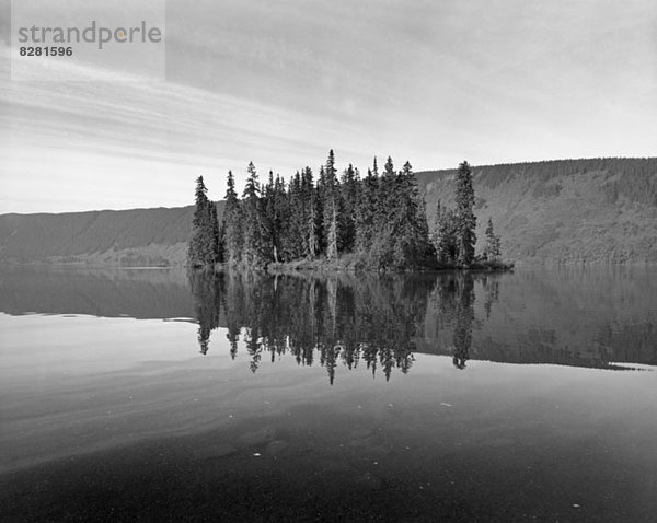 Spiegelung von Klippen und Bäumen im Meziadin Lake  British Columbia  Kanada