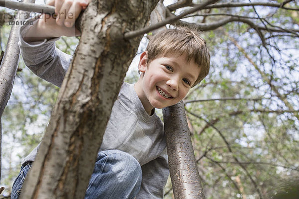 Ein junger fröhlicher Junge klettert auf einen Baum.