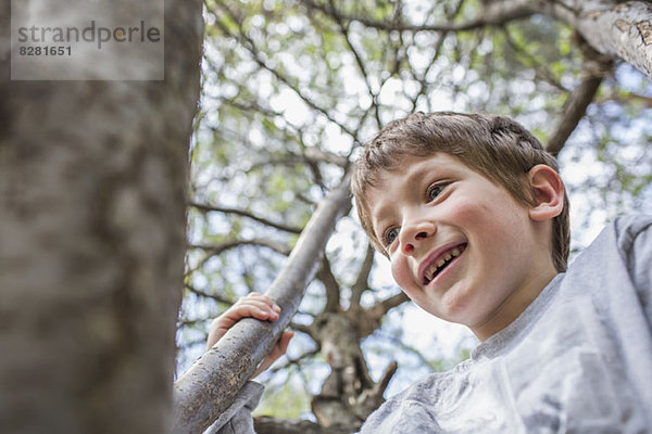 Ein fröhlicher Junge klettert auf einen Baum.