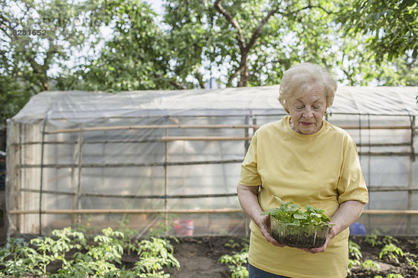 Eine ältere Frau im Garten  Gewächshaus im Hintergrund