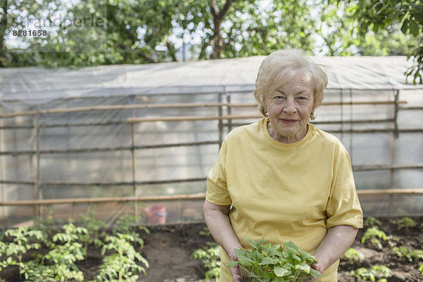 Eine ältere Frau mit einer Pflanze  Gewächshaus im Hintergrund