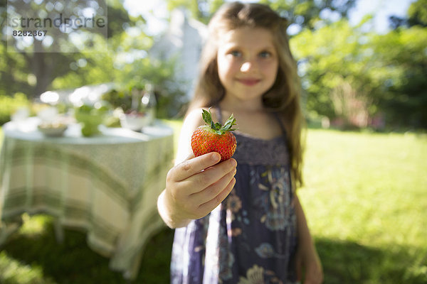 Kinder und Erwachsene zusammen. Ein junges Mädchen hält eine große frische  biologisch erzeugte Erdbeere in der Hand.