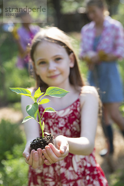 Garten. Ein junges Mädchen hält eine junge Pflanze mit grünem Laub und einem gesunden Wurzelballen in den Händen.