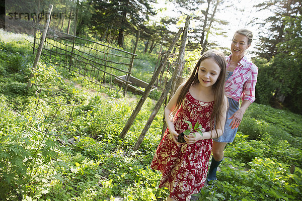 Ein junges Mädchen hält eine Sämlingspflanze und geht mit einer erwachsenen Frau  die ihm folgt  durch die Gärten des Bauernhofs.