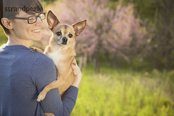 Eine junge Frau auf einem Grasfeld im Frühling. Sie hält einen kleinen Chihuahua-Hund im Arm. Ein Haustier.