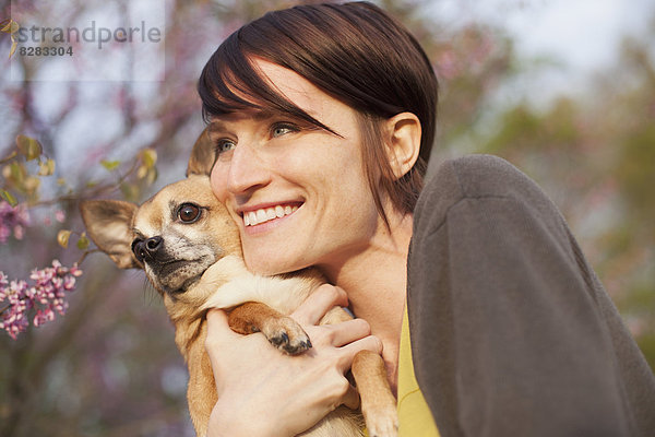 Eine junge Frau auf einem Grasfeld im Frühling. Sie hält einen kleinen Chihuahua-Hund im Arm. Ein Haustier.