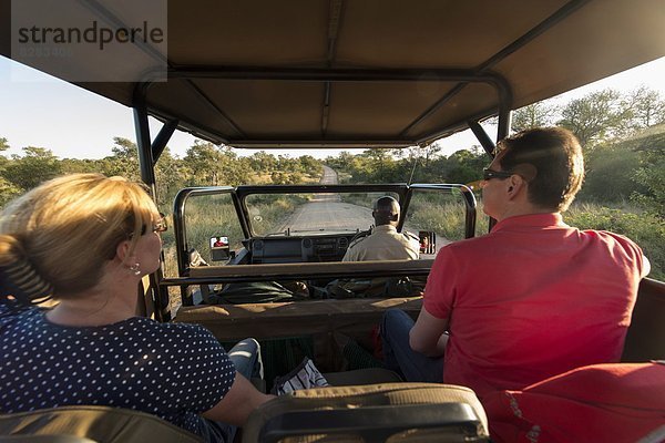 Südliches Afrika  Südafrika  Kruger Nationalpark  Afrika