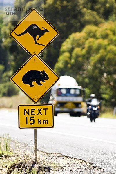 überqueren  Tier  Zeichen  Bundesstraße  groß  großes  großer  große  großen  Australien  New South Wales  Signal  Sydney