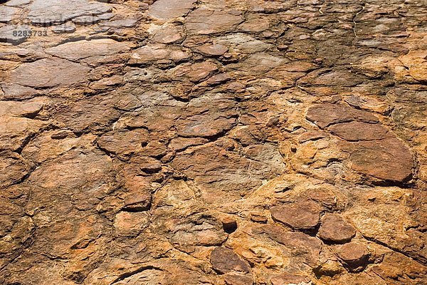 zerreißen  Australien  Schlucht  Northern Territory  Sandstein