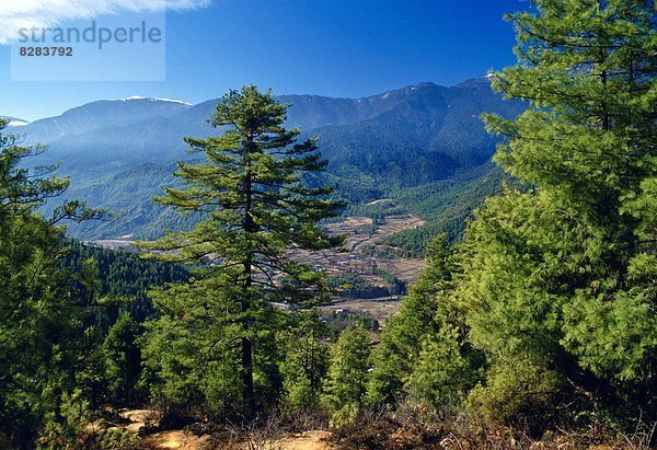 Bhutan landscape