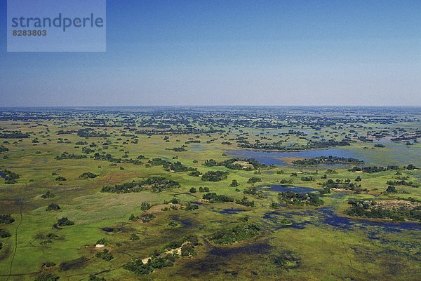 Luftaufnahme  Okavango-Delta  Botsuana  Afrika