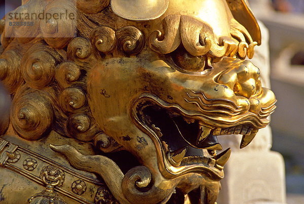 Peking  Hauptstadt  Großstadt  chinesisch  Statue  verboten  China  Drache