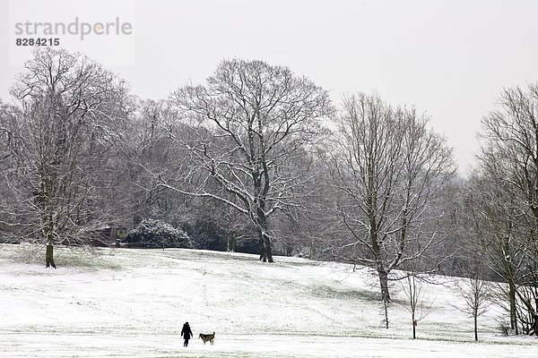 Frau  bedecken  Tag  gehen  Großbritannien  Hund  England  Heide  Schnee