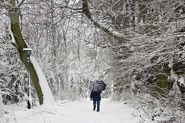bedecken  Regenschirm  Schirm  Großbritannien  London  Hauptstadt  spazierengehen  spazieren gehen  wandern  Heide  Schnee