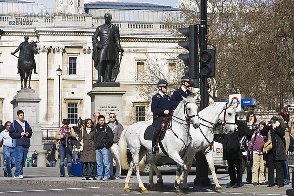 Großbritannien  London  Hauptstadt  Quadrat  Quadrate  quadratisch  quadratisches  quadratischer  Gemeinschaft  reiten - Pferd  Trafalgar Square  England  Polizei