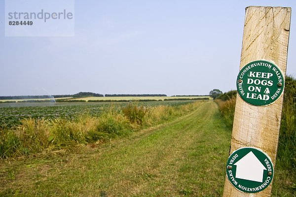 nahe  gehen  Großbritannien  Schutz  führen  Hund  halten  Wegweiser  Norfolk  Blei