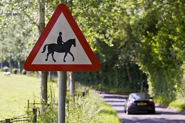 Islandpony  Auto  Großbritannien  Zeichen  Warnung  Dorset  Straßenrand  Signal