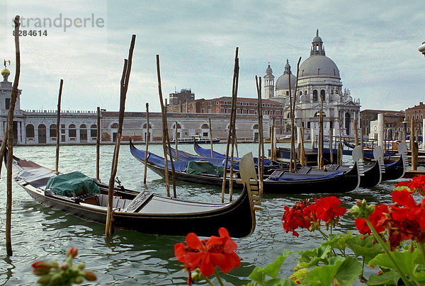 Ehrfurcht  Kathedrale  zuprosten  anstoßen  Italien  Venedig