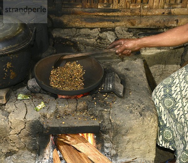 ernten  Kaffee  Südostasien  Asien  Indonesien  Ubud