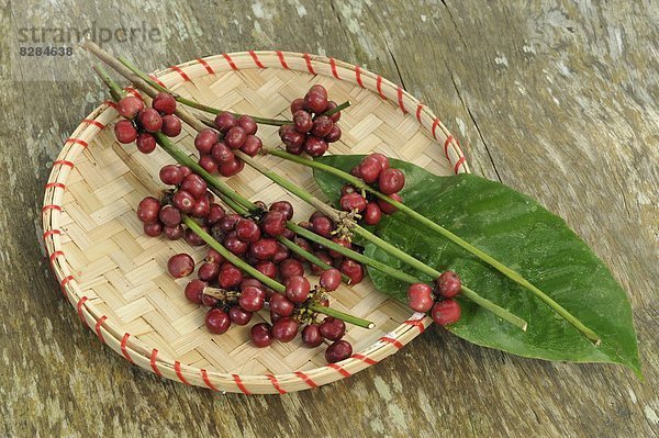 Kaffee  Südostasien  Asien  Indonesien