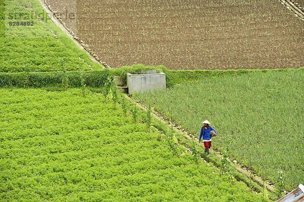 gehen  Hügel  Bauer  Schwangerschaft  vorwärts  Mittelpunkt  Landvermessung  Südostasien  Asien  Indonesien  Bewässerung  Java