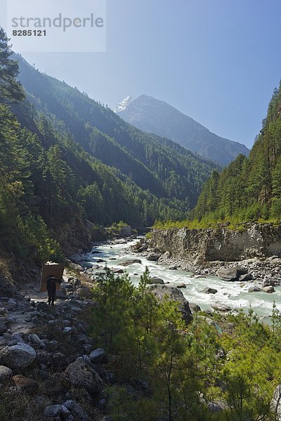 zwischen inmitten mitten beladen tragen folgen Holz groß großes großer große großen Gepäckträger Portier Himalaya Basar Asien Lukla Nepal