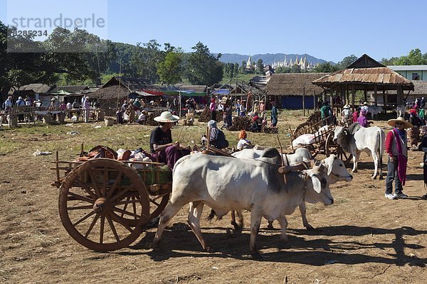 See  Süden  Volksstamm  Stamm  Myanmar  Asien  Ende  Inle See  Markt  Shan Staat