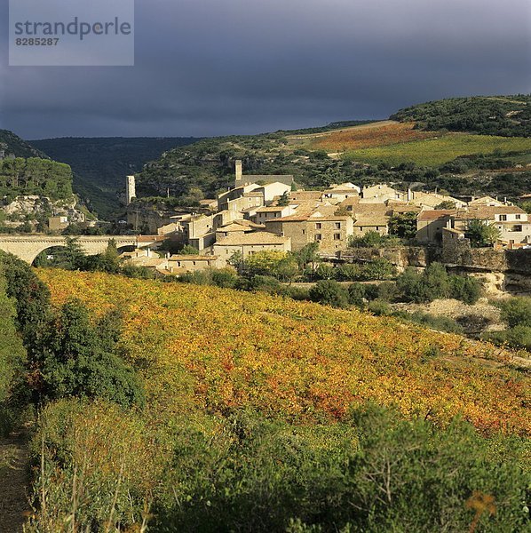 Frankreich  Europa  über  Dorf  Ansicht  Weinberg  Languedoc-Roussillon