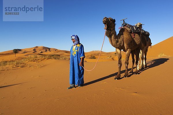 Nordafrika  Afrika  Merzouga  Marokko