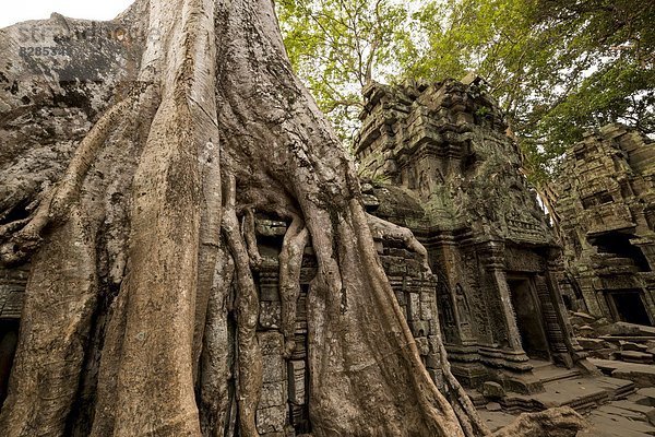 Südostasien UNESCO-Welterbe Vietnam Angkor Asien Kambodscha Siem Reap