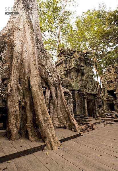 Südostasien UNESCO-Welterbe Vietnam Angkor Asien Kambodscha Siem Reap