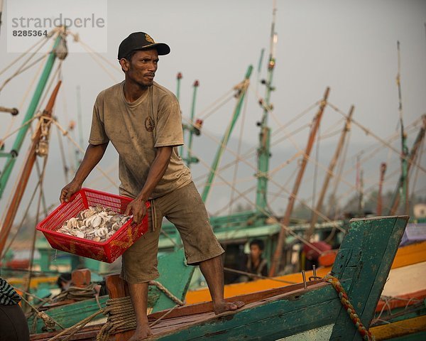 Hafen  fangen  Morgendämmerung  Boot  angeln  Campingzelt  Rückkehr  Südostasien  Vietnam  Asien  Kambodscha  Kampot