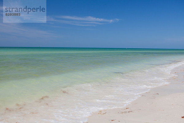 Beachscape  Clearwater  Florida  Vereinigte Staaten von Amerika