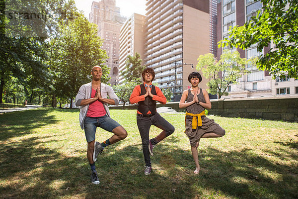 Drei junge Leute beim Yoga im Park