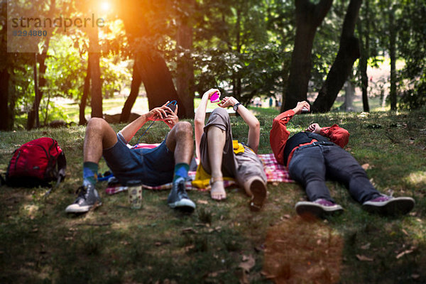 Drei Freunde liegen auf einer Picknickdecke im Park.