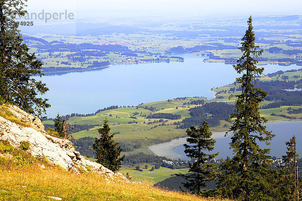 Landschaft um den Forggensee  Schwangau  Allgäu  Bayern  Deutschland  Europa