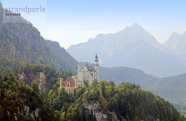 Schloss Neuschwanstein  Oberbayern  Bayern  Deutschland  Europa