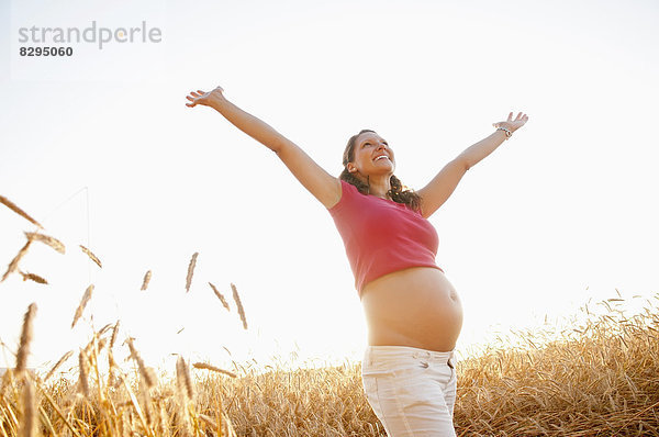 junge schwangere Frau  die im Maisfeld jubelt